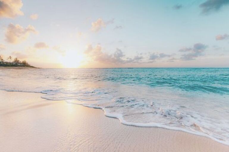 海