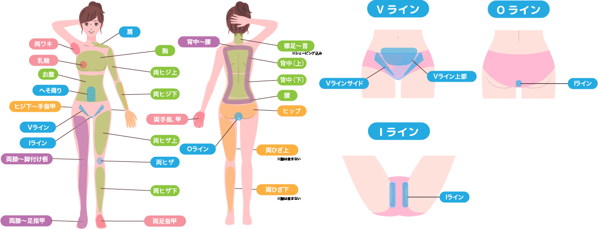 lady's body,VIO-8