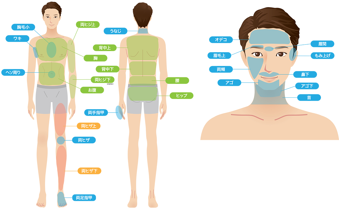 men's body,face